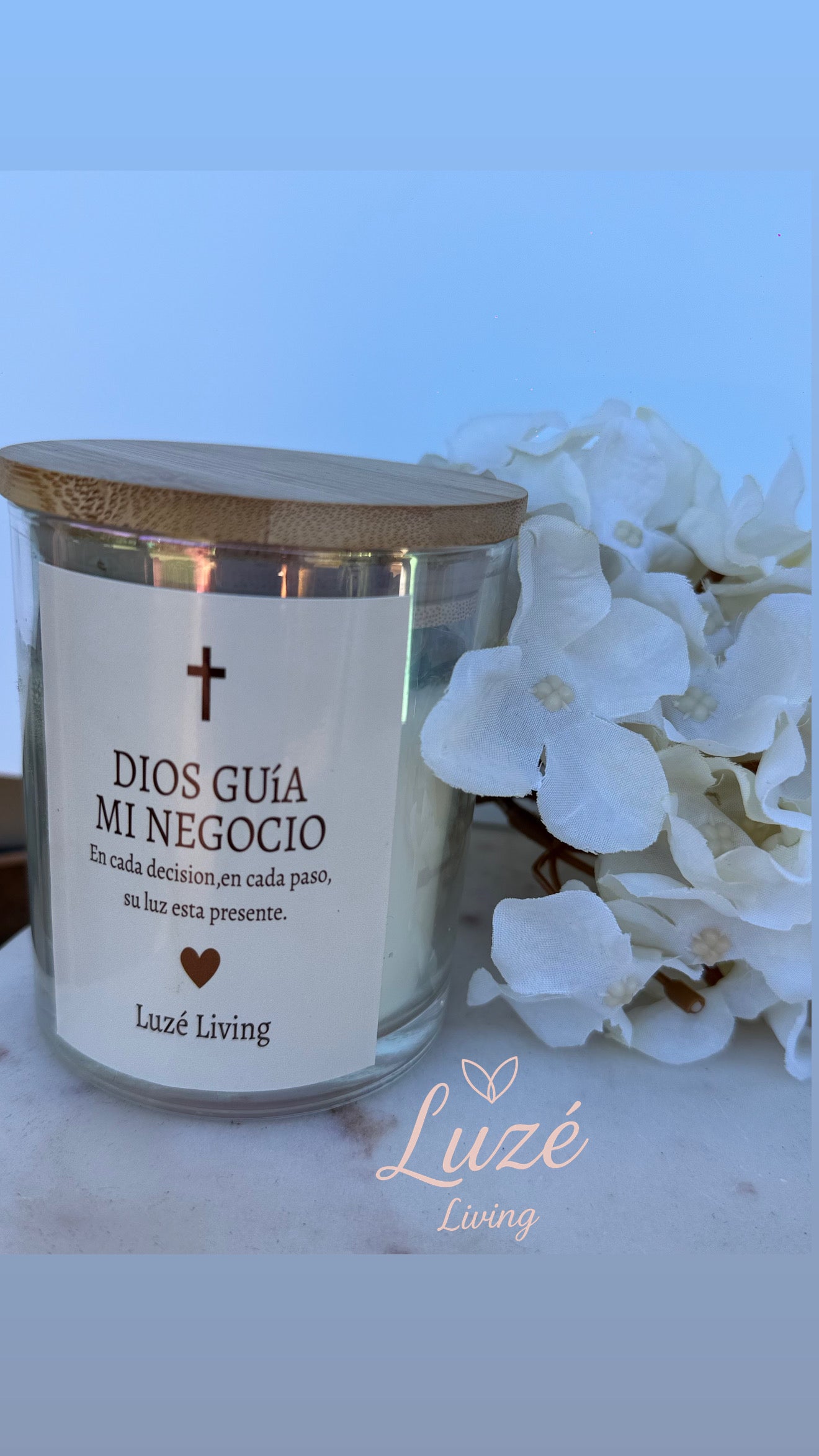 Divine Business Collection — “Dios guía mi negocio”