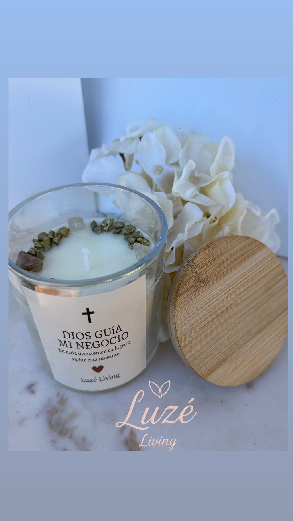 Divine Business Collection — “Dios guía mi negocio”