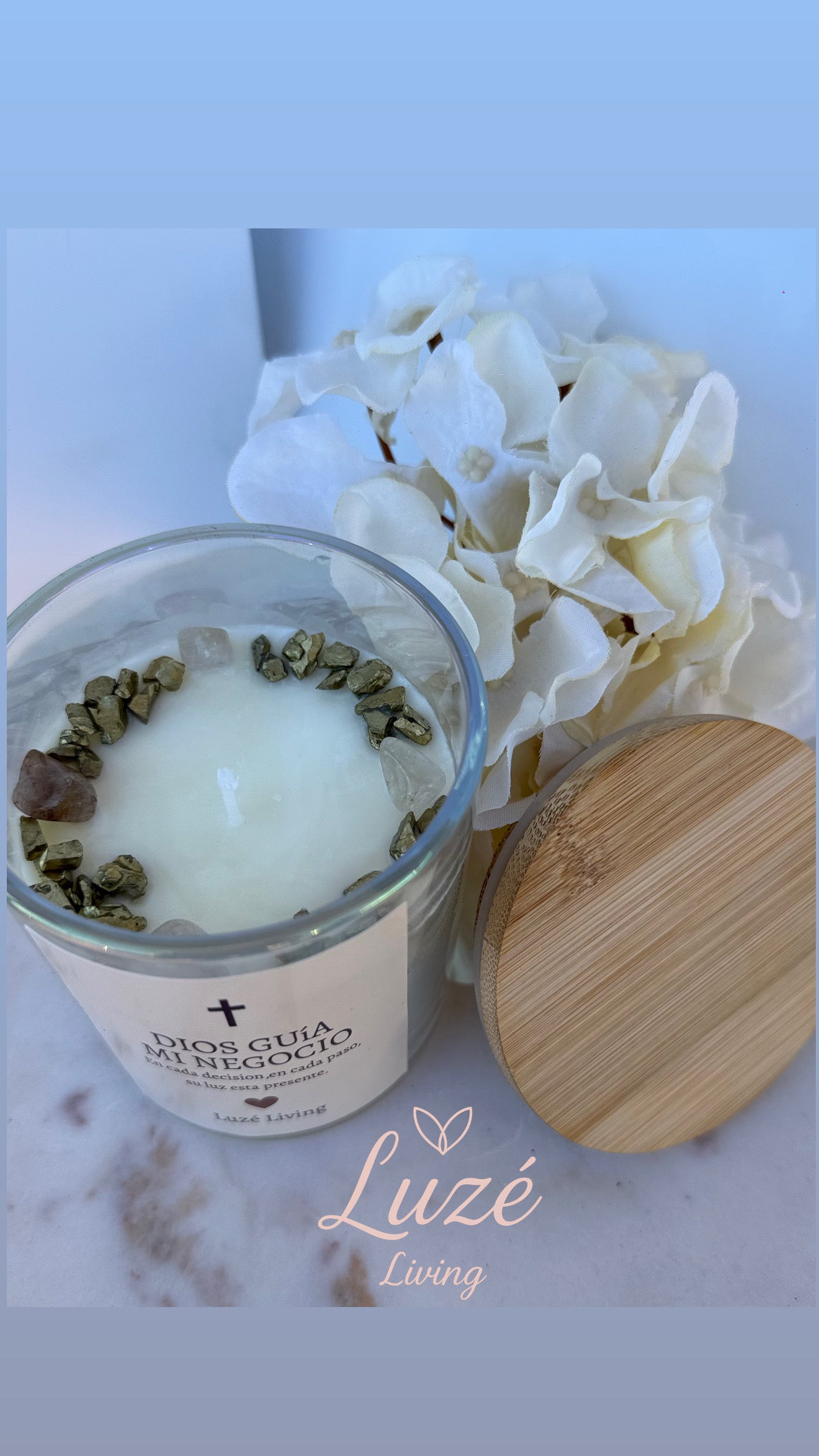 Divine Business Collection — “Dios guía mi negocio”